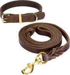 Braided Leather Leash and Collar Set