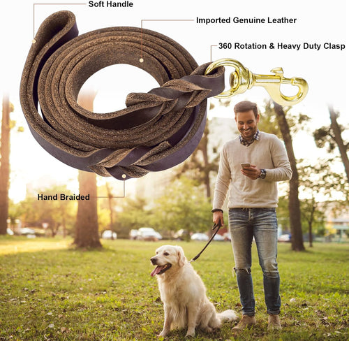 Braided Leather Leash and Collar Set
